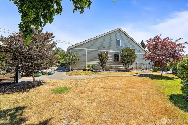 Side Yard View