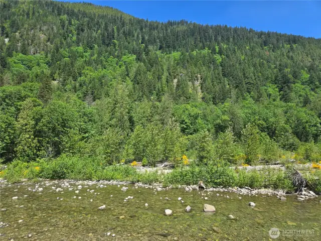 Gaze across the river to pristine, untouched trees and mountains. Enjoy the privacy.