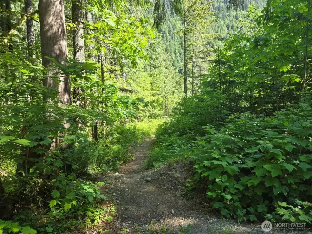 Trail to community beach  is only 1 block away.
