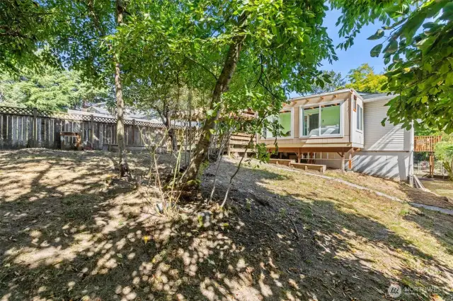 Huge backyard, fully fenced