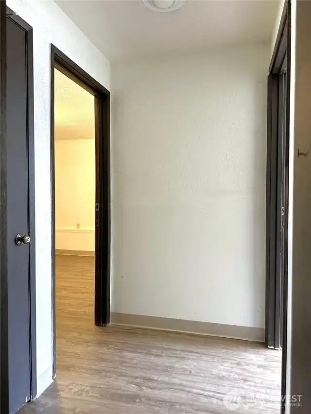 Downstairs Hallway