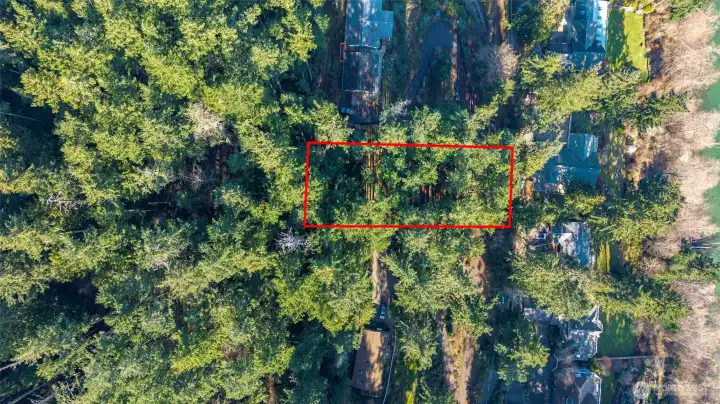 Approximate outline of the lot.