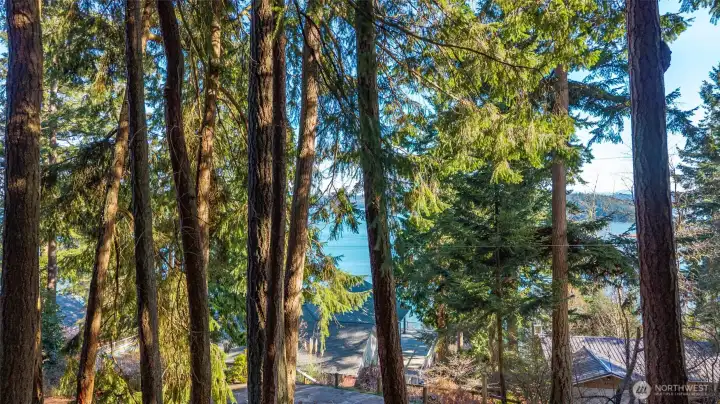 Peekaboo views through the trees.  With selective clearing, you could get a pretty good view.