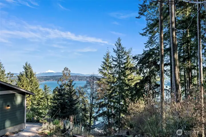 This is a view of Mount Baker from the park trail at the northwest corner of the property.