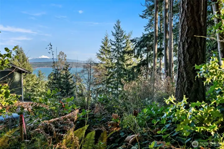 The northwest corner marker.  Taken from the park trail.