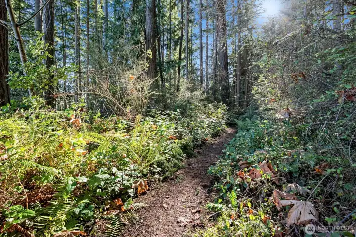 The park trail looking the other direction.