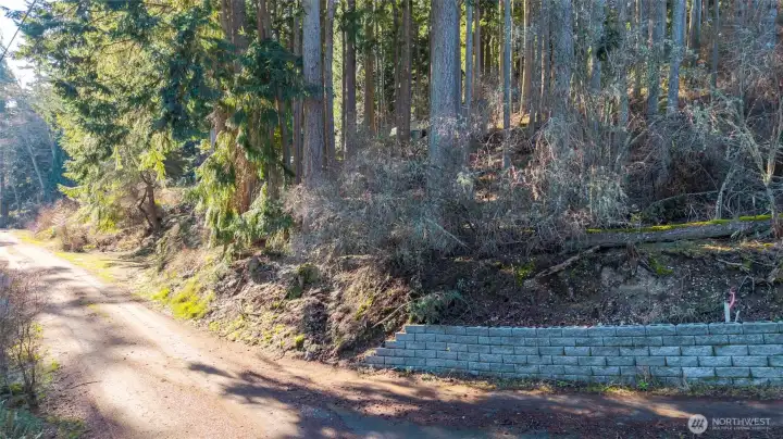 Angler's Haven Drive looking towards the south.