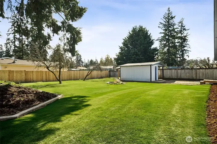 Back Yard with Shed (Grass is sprouting now - this is edited grass)