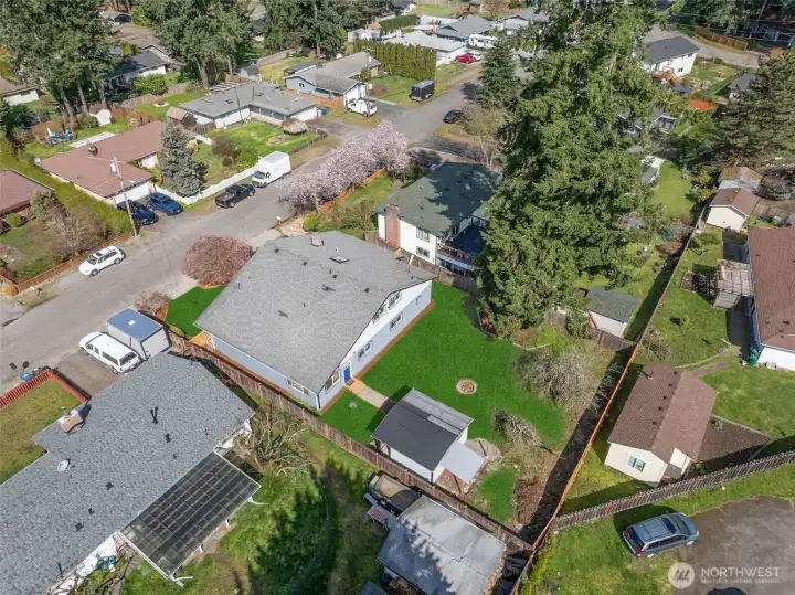 Overhead (Grass seed is sprouting now - this is edited grass)