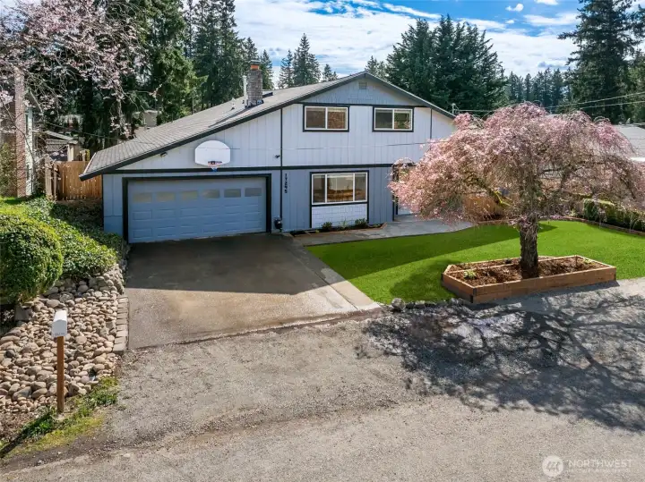 Home from Street (Grass seed is sprouting now - this is edited grass)