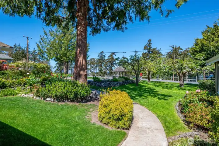 Charming view from the front entryway, with apple trees and a large cedar.