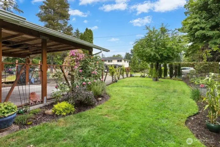 Side yard adjacent to the carport and back side of property