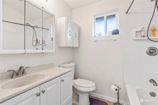 Rec room bathroom