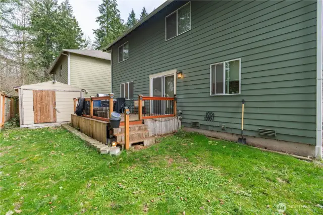 Back yard