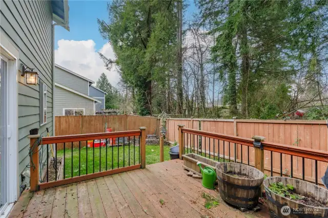 Back yard