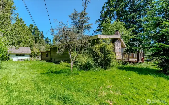 Fully fenced yard