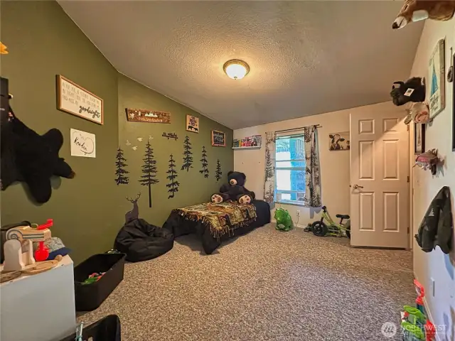 Guest bedroom with walk-in closet