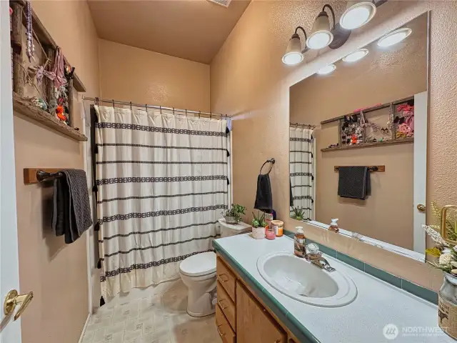 Full guest bathroom