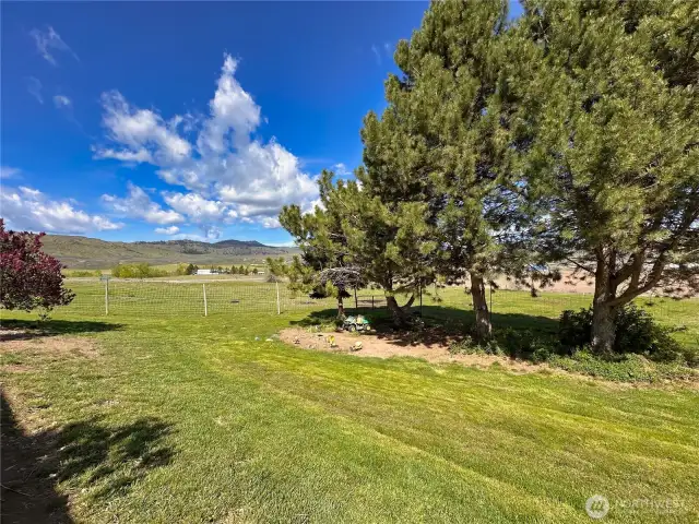 Grassy yard space with mature trees is fenced off from pasture area
