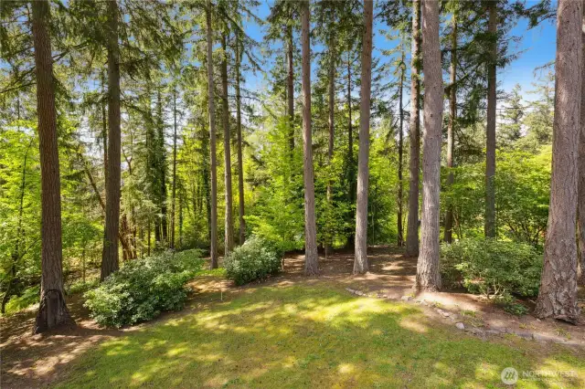 A pretty stand of trees lines the back of the property for nice privacy.