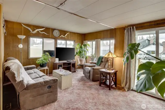 Light and Bright Living Room with loads of windows.