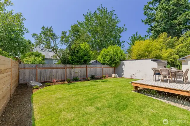 Backyard