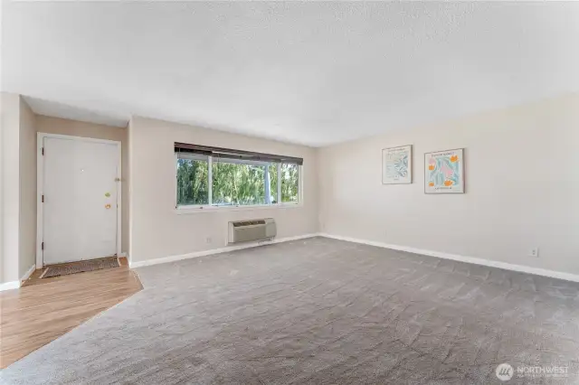 Entry and Living Room