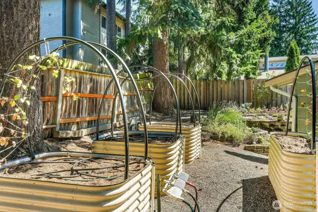 Side yard currently contains 4 raised beds for herbs & veggies, built-in irrigation.