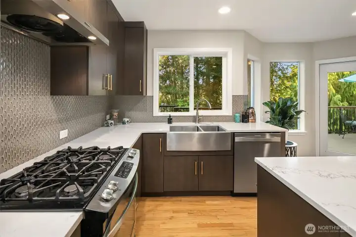 Cafe style gas range and ultra slim fan venting to the exterior. Great shot of the sink and more greenery out the windows! Ultra quiet dishwasher, too!