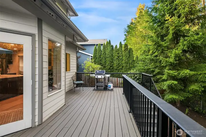 Large low maintenance deck right off the kitchen and family room. Great for grilling!  Note the green screen between the back yard and the neighbors on this side.