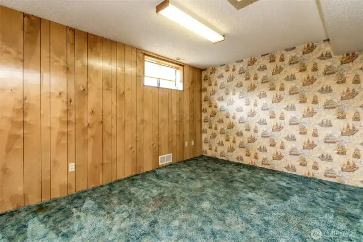 Lower Level 5th Bedroom /Bonus rm