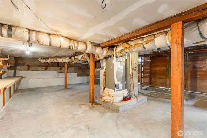 High-ceiling Basement with separate entrance.