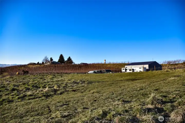 View towards the west from top of pasture