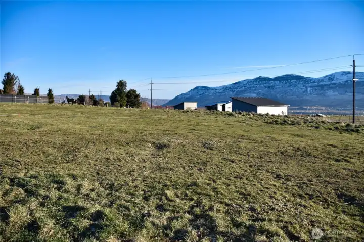 SE view from western side of pasture
