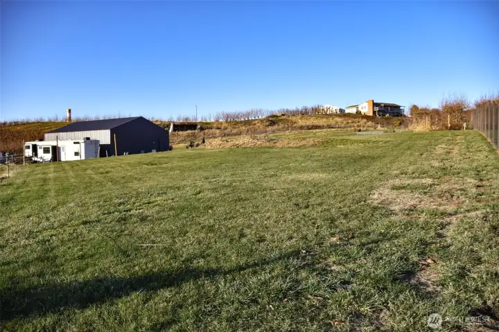 NW view from SE corner of yard