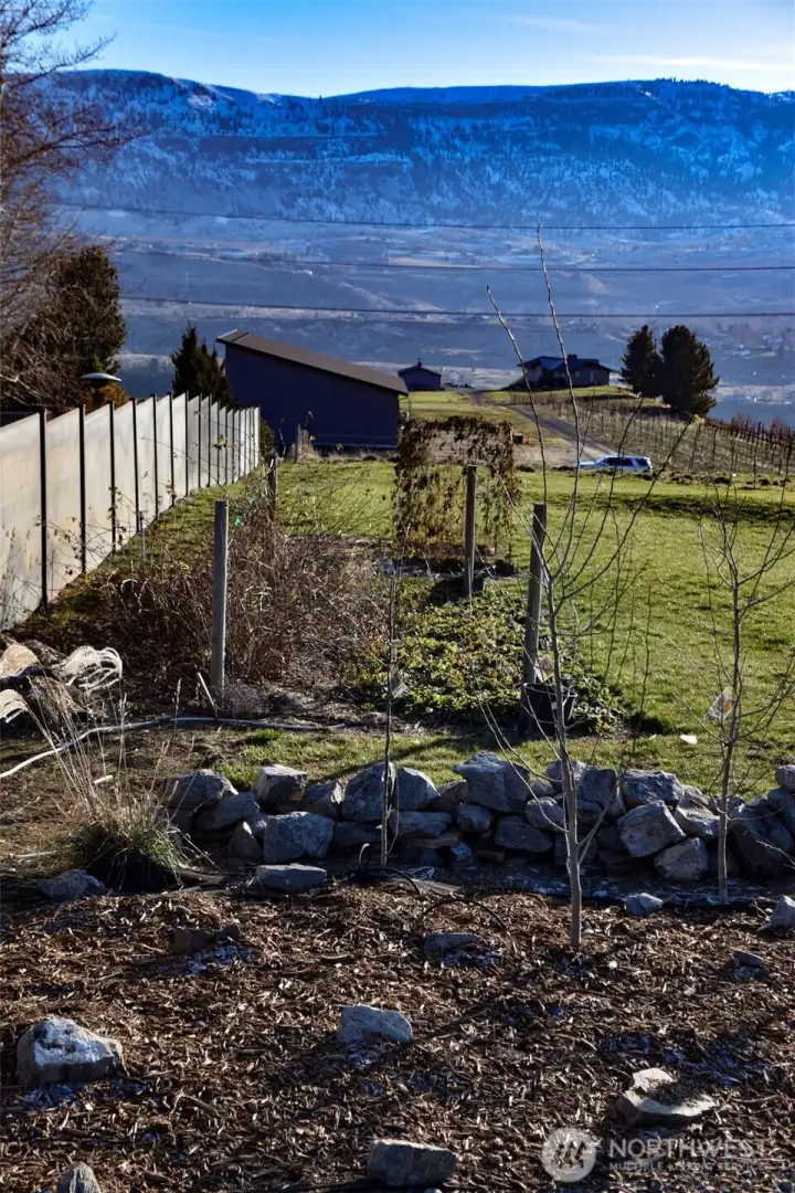 New trees, established raspberries and strawberries, and vegetable garden.