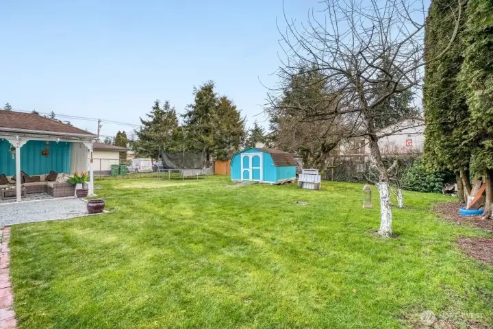 Functional backyard with storage shed and open lawn.