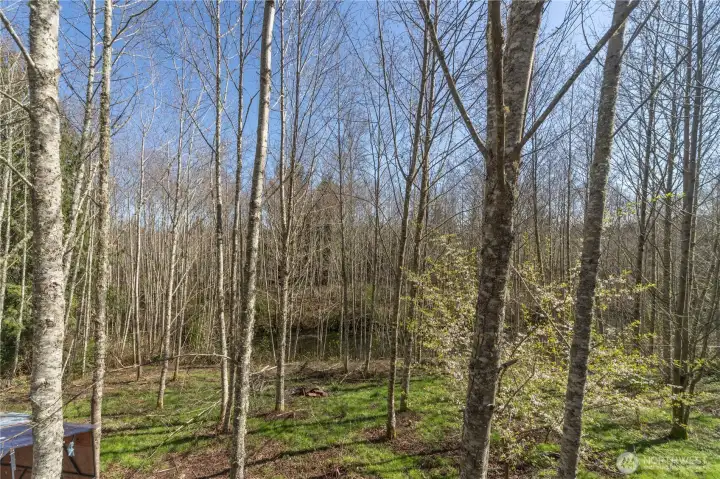 Property has some nice level areas.