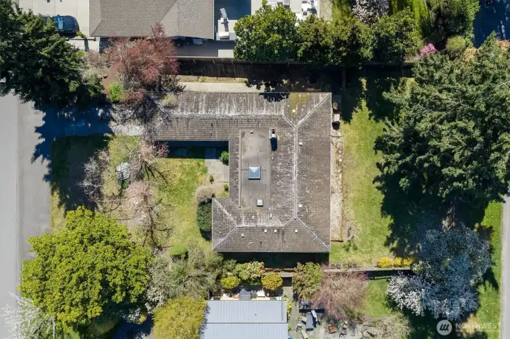 Endless potential to build your dream home on this 12,184 sq ft lot Endless potential to build your dream home on this 12,184 sq ft lot