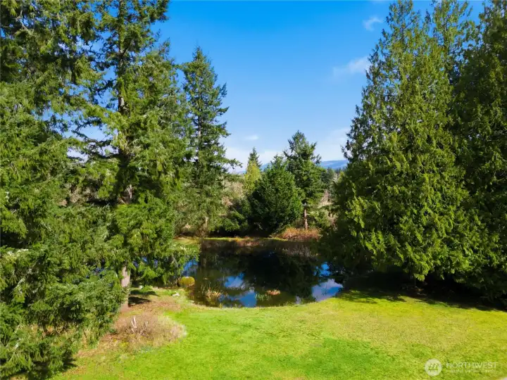 Spring fed shared pond with the neighbor is tons of fun for fishing!
