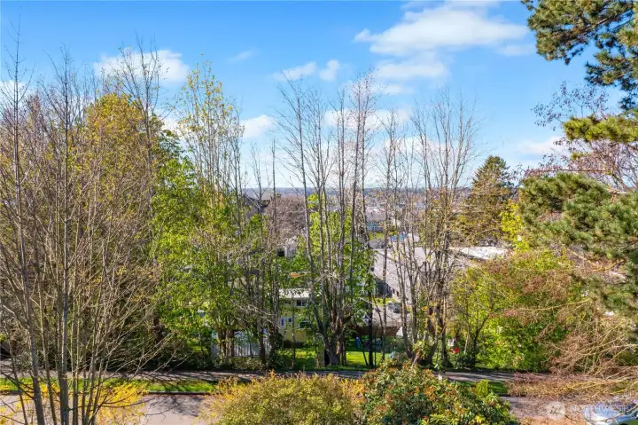View from the upstairs bedroom deck.
