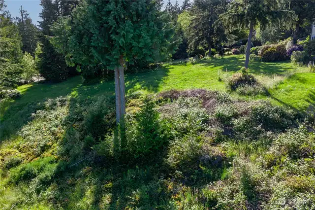 Looking at the lot at 103 Wells Ridge Ct from the lot below. The area with brush is 103 W.R., grassy area above is 107 W.R. Sellers keep the lots maintained. 107 is cleared and grassy.