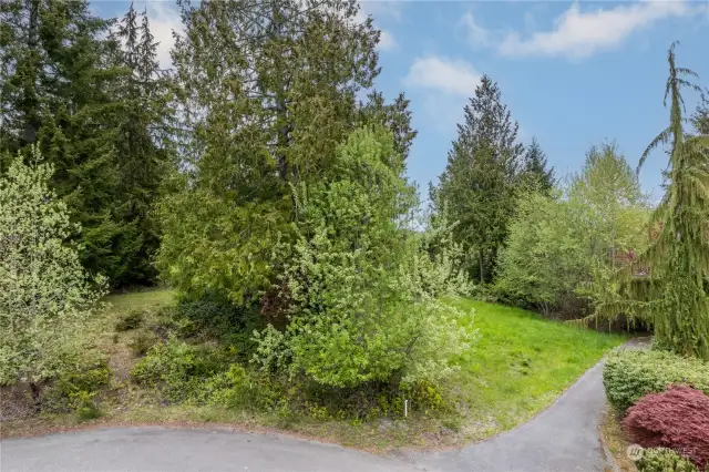 The lot at 107 Wells Ridge Court is to the left of the large tree, where the dirt path goes up the hill. 103 W.R. is to the right and buffers the asphalt trail path.