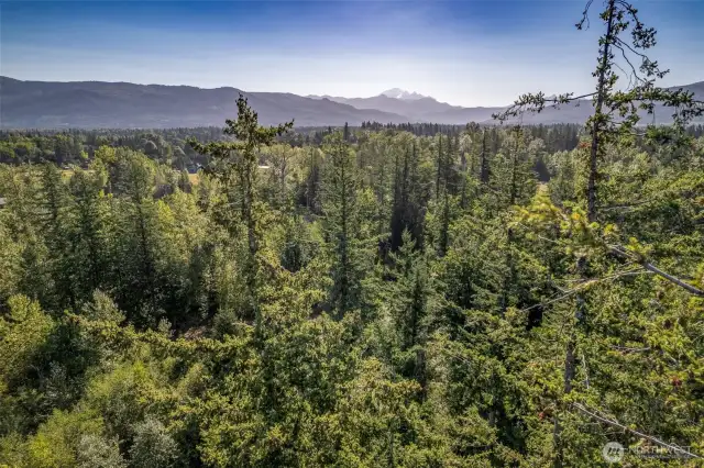 Area views above the land.  Underneath is a forested bit of Northwest beauty