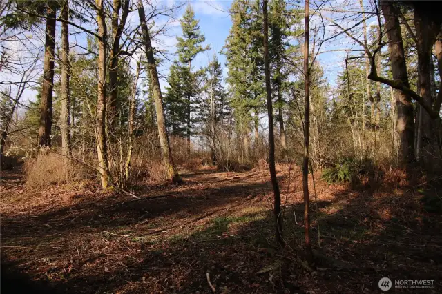 Building site-away from wetlands