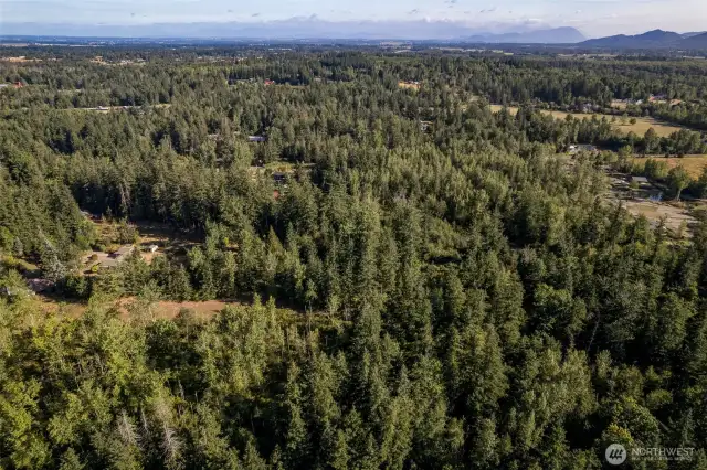 Looking north, the land is in the foreground