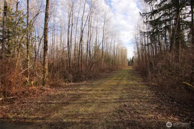 Access easement road, looking south.  At the very end of this road the access veers southeast to the property