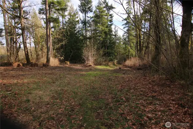 Private!  What a nice place only 15 easy minutes to Bellingham