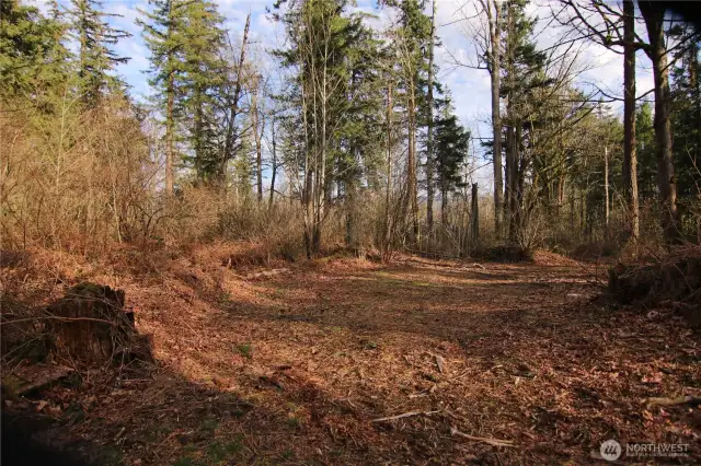 building site-looking east