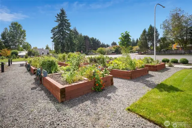 Garden beds are available for those who want to garden.